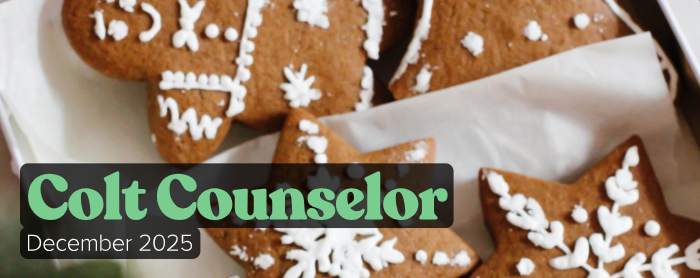 Colt Counselor December 2025