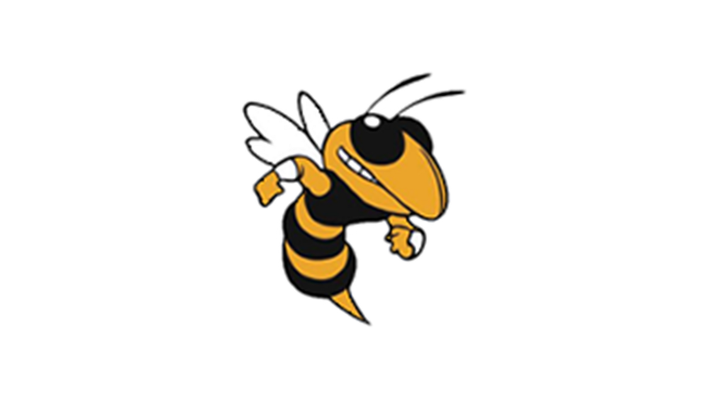 Tom Green Elementary School logo of a cartoon hornet