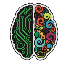 An image of a brain