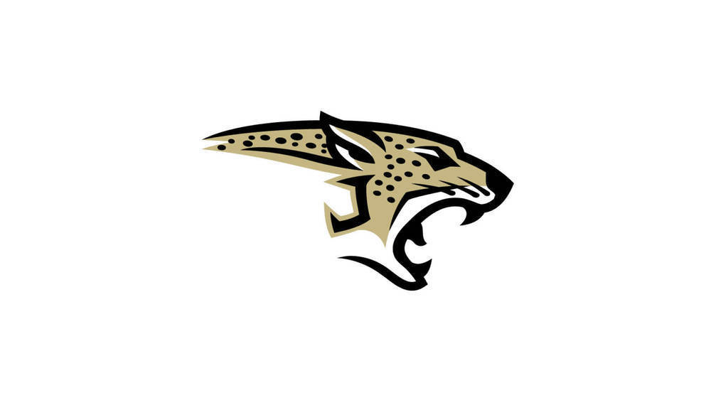 Johnson High School logo of a black and gold jaguar head