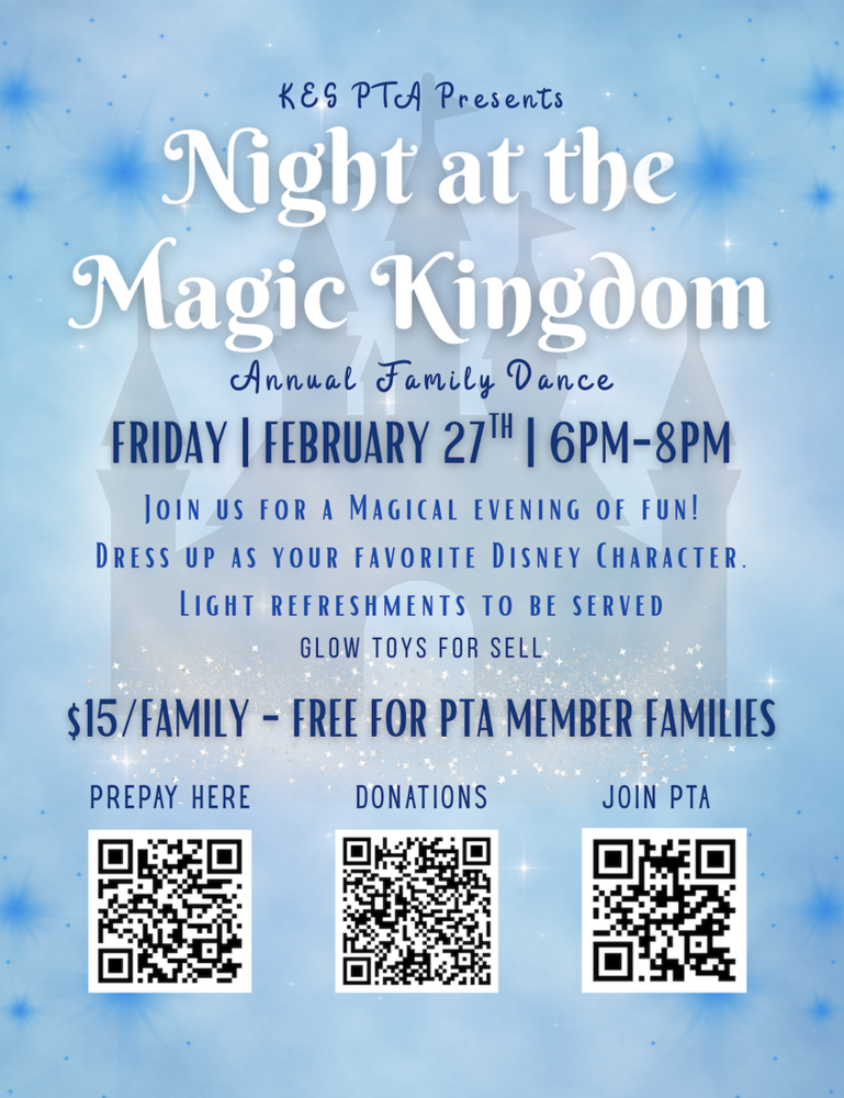 Night at the Magic Kingdom