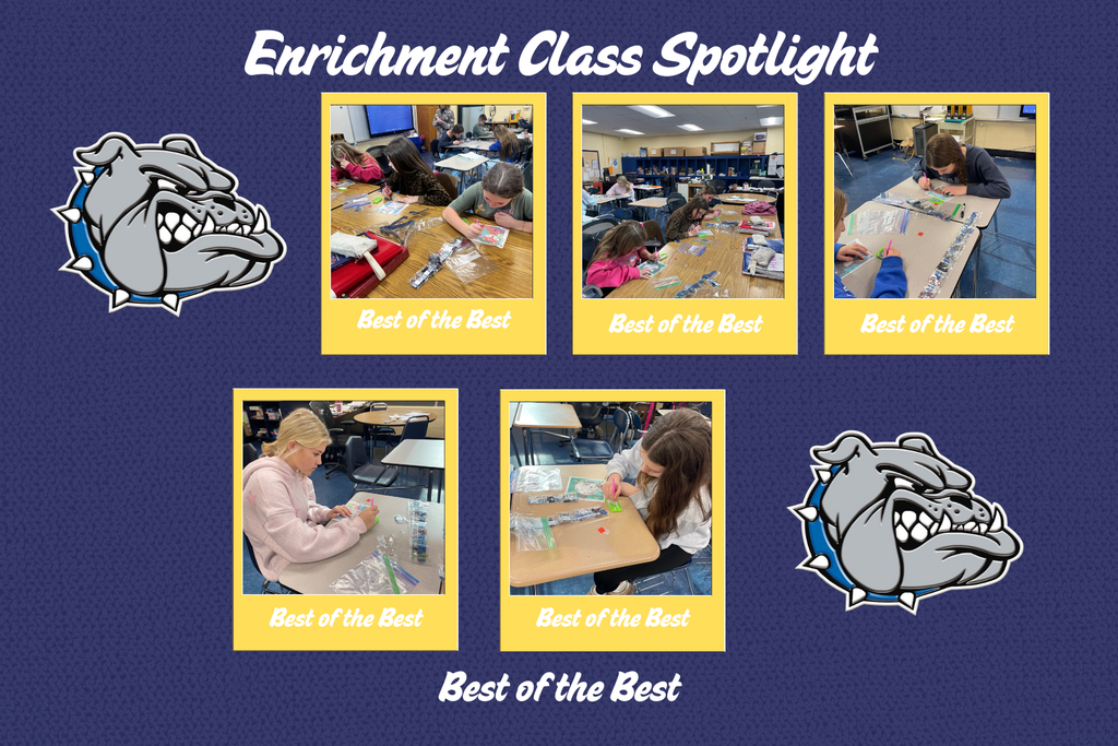Enrichment Activities
