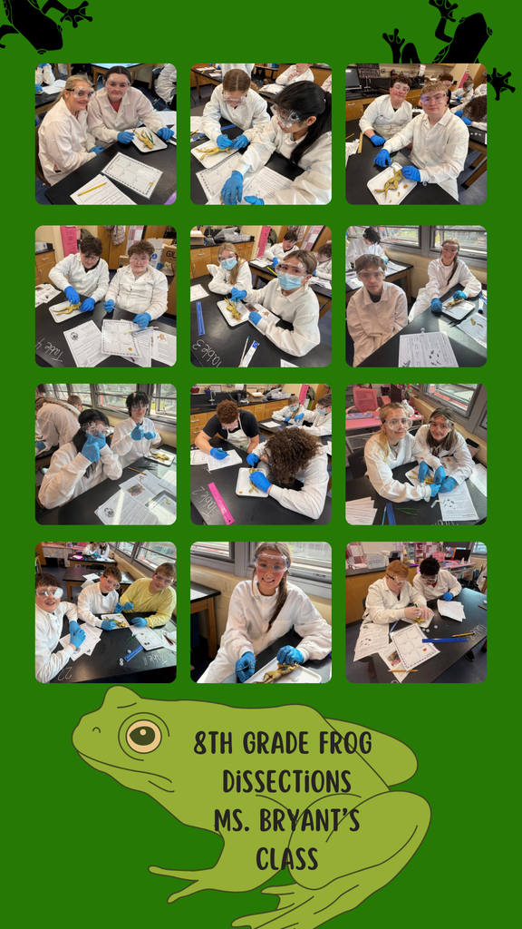 Frog Dissection