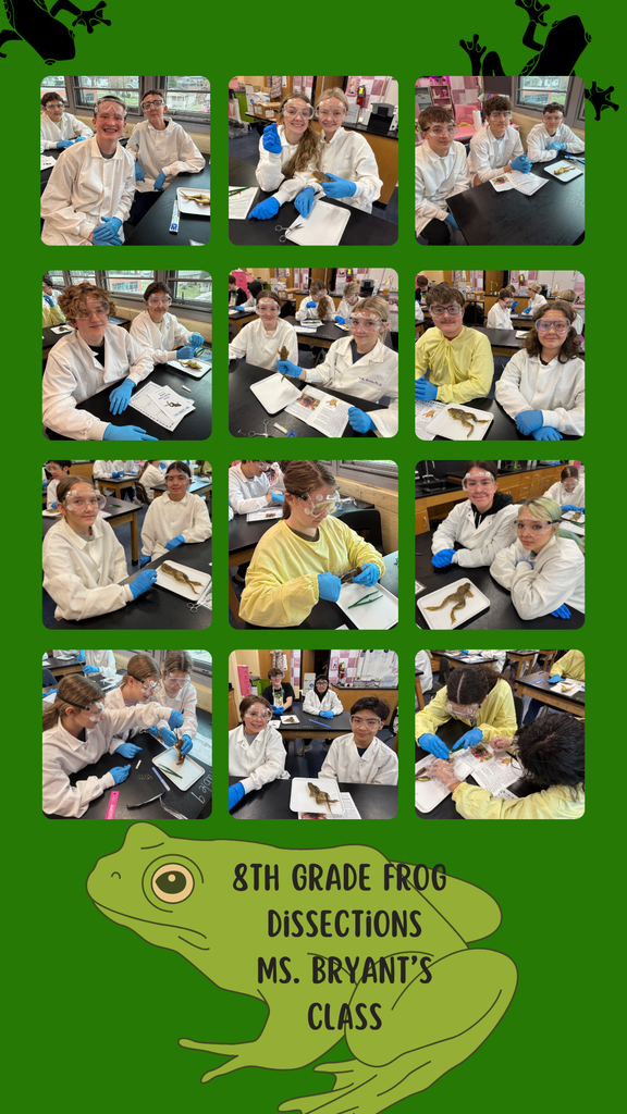 Frog Dissection
