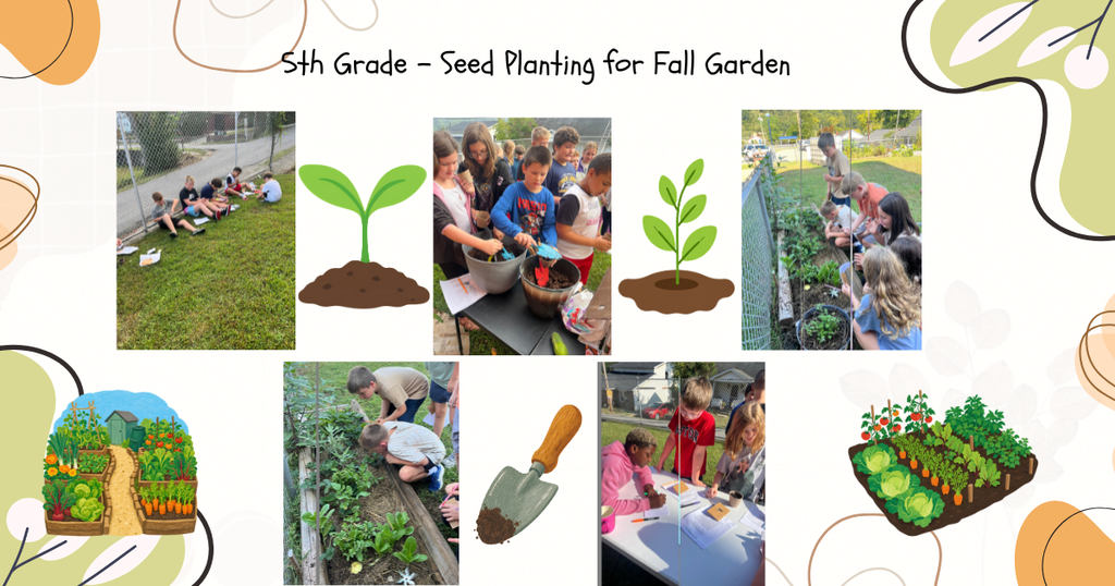 seed planting