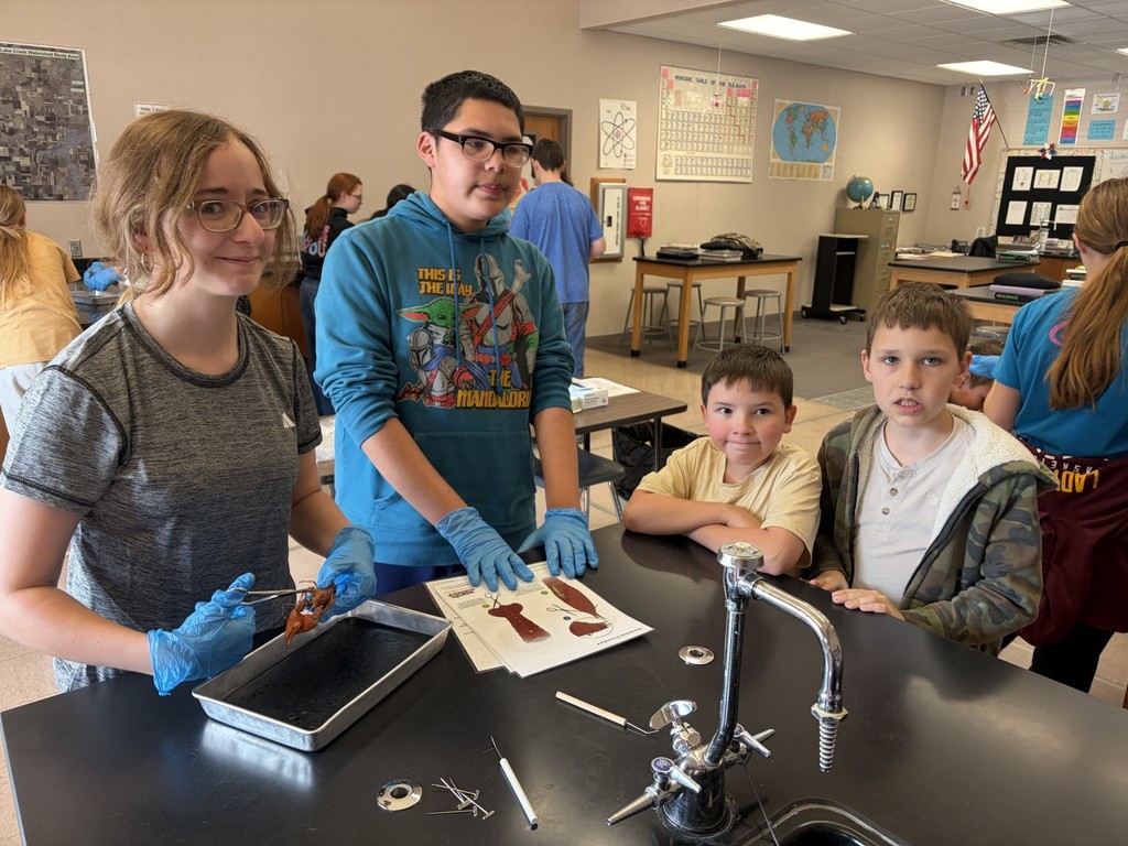 7th grade dissecting