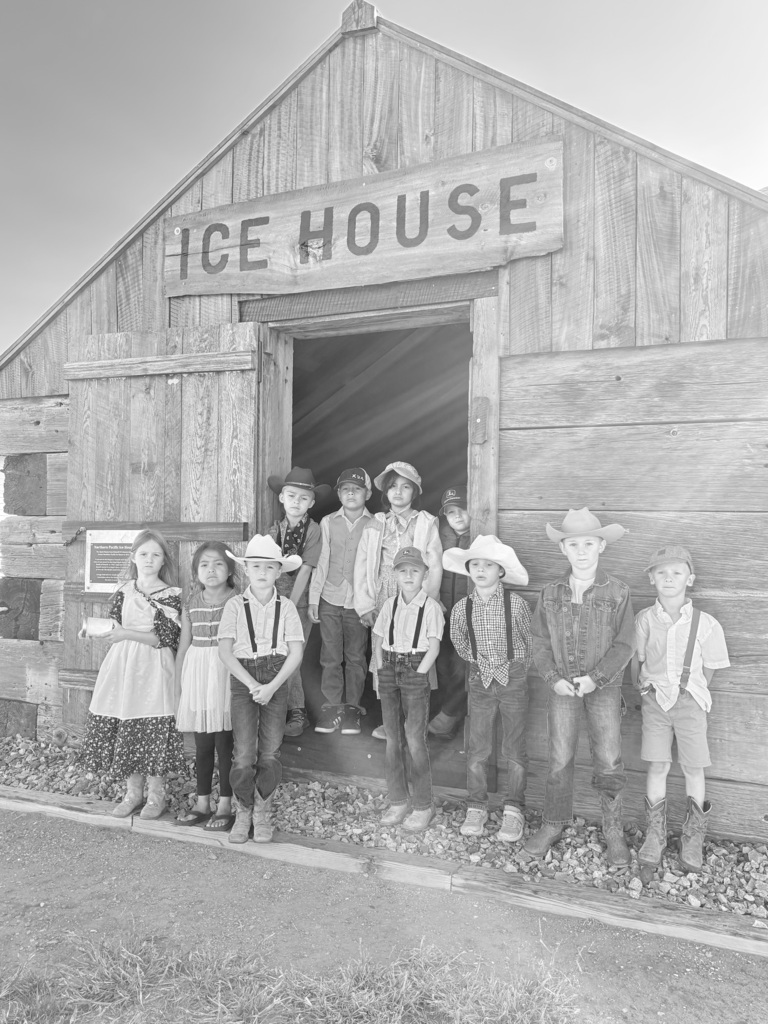 1st grade