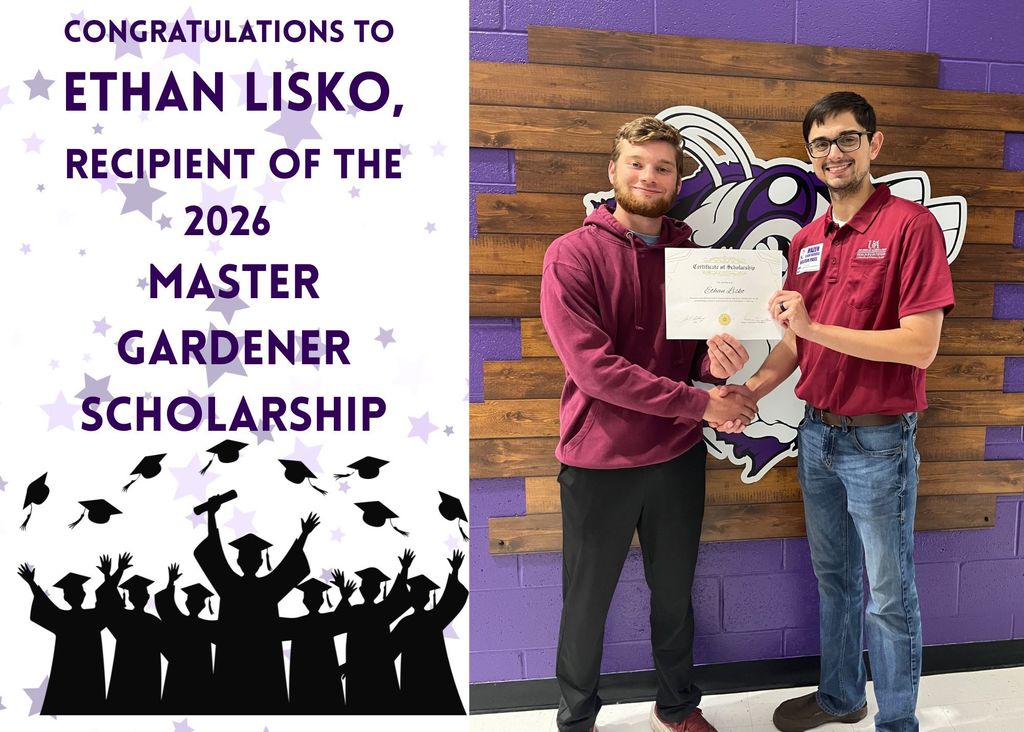 Scholarship