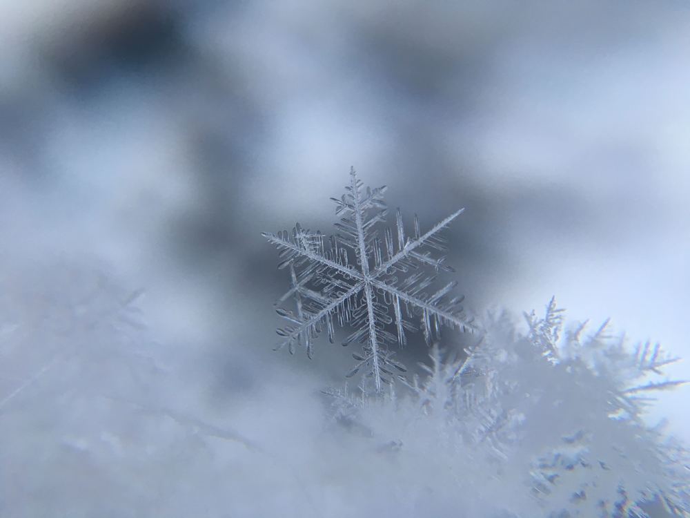 Snow flake with a blurry background