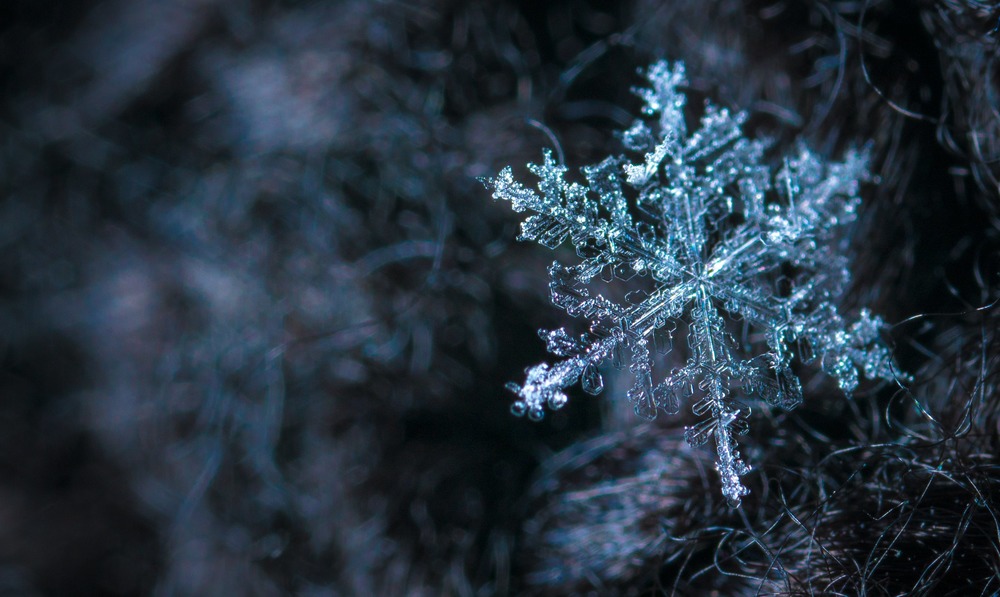 picture of a snowflake with a blue and black background