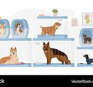 Dog Shelter