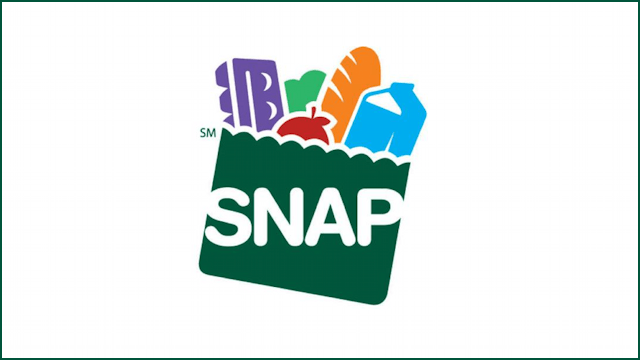 snap logo