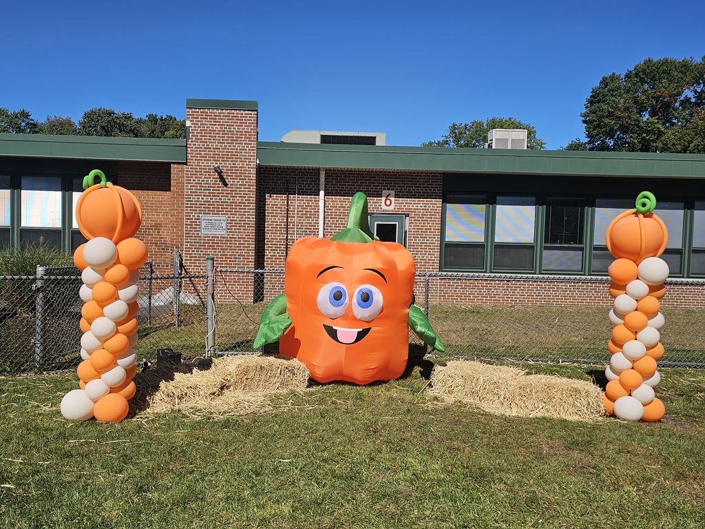 Pumpkin Patch