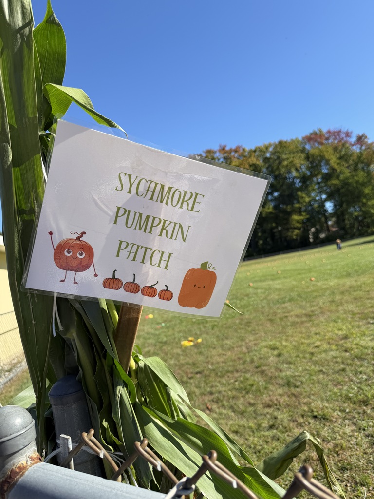 Pumpkin Patch