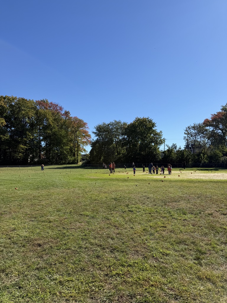 Pumpkin Patch