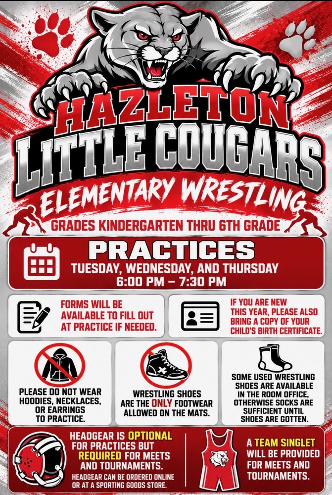 Elementary Wrestling flyer