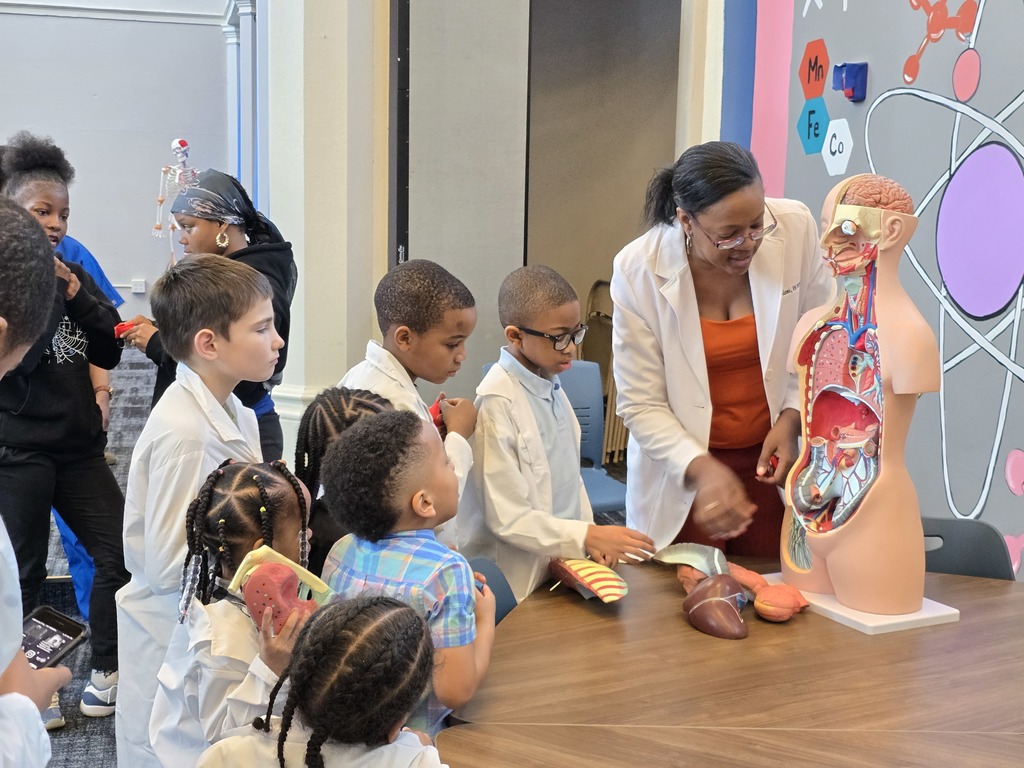 Students gathered learning about human anatomy