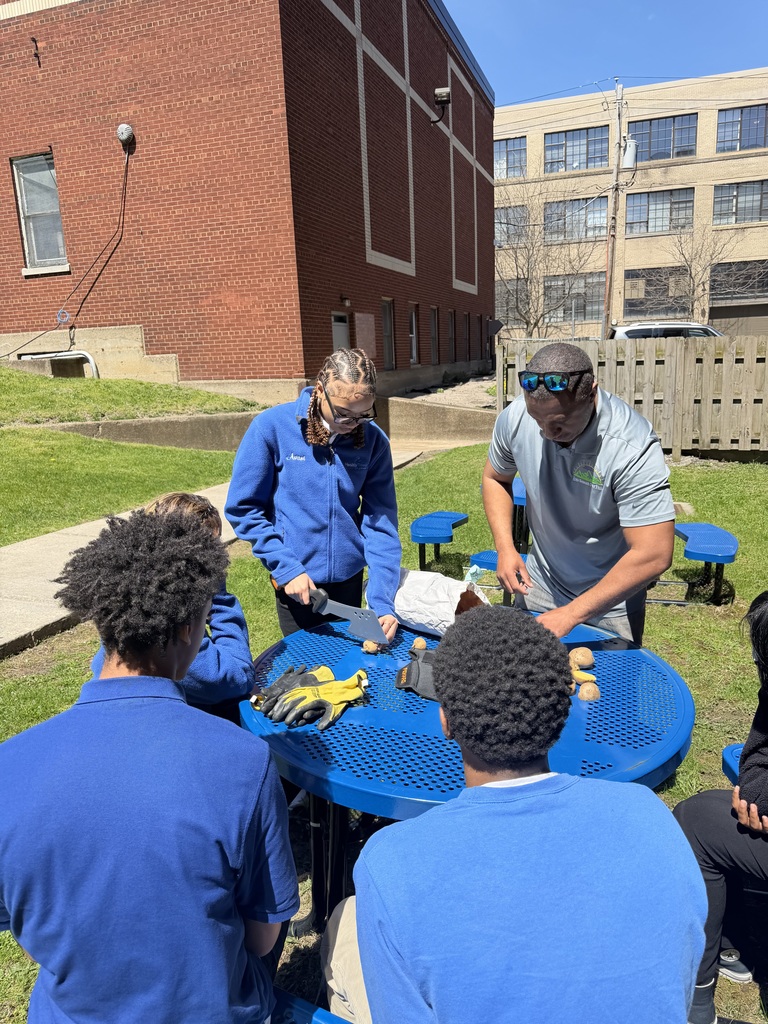 Today health disparities students planted some potatoes in the schools garden beds. 