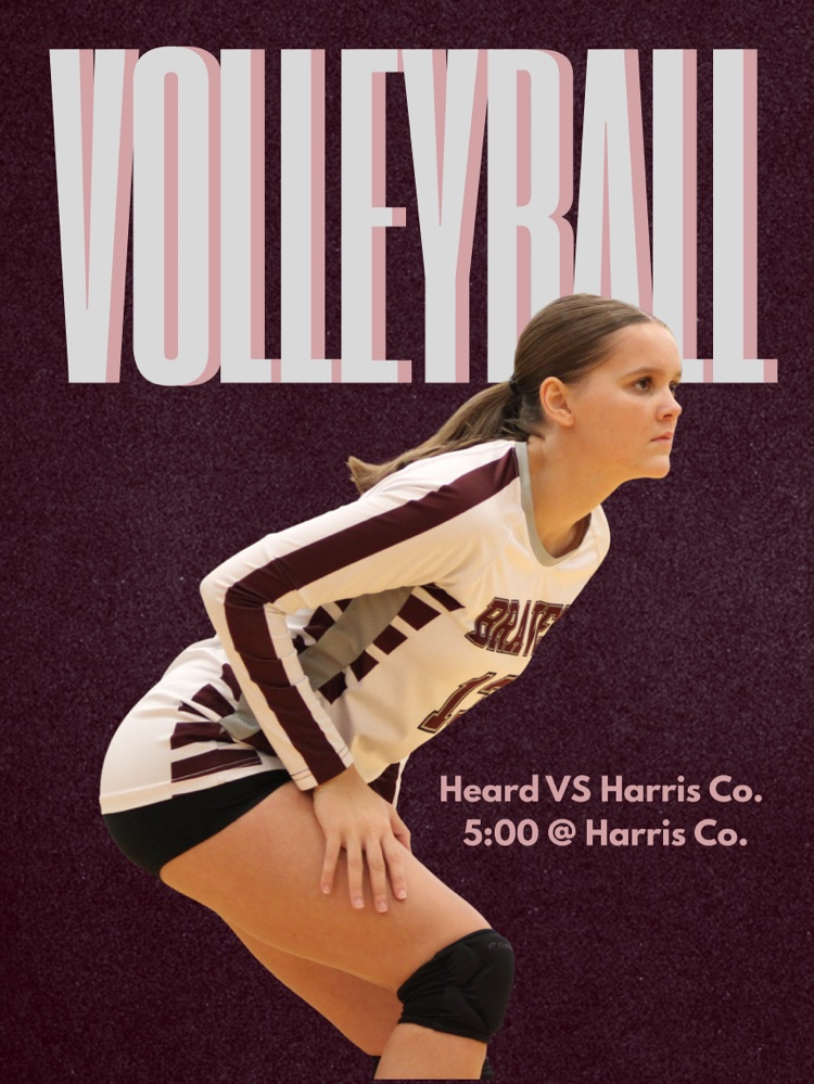 vb 