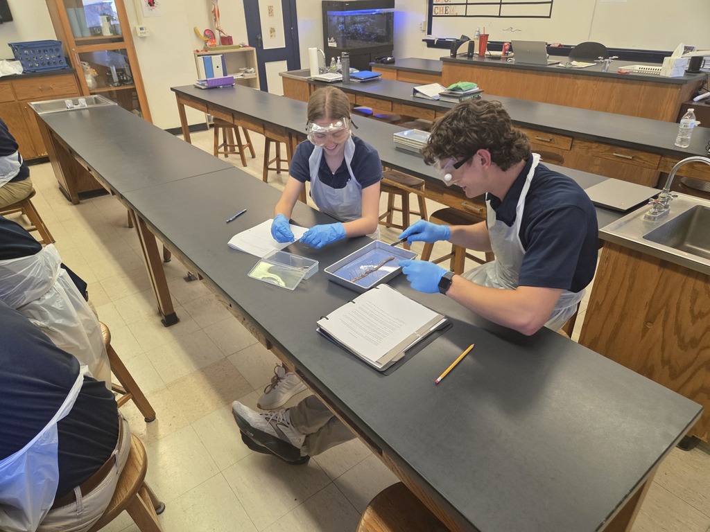 Biology Dissection