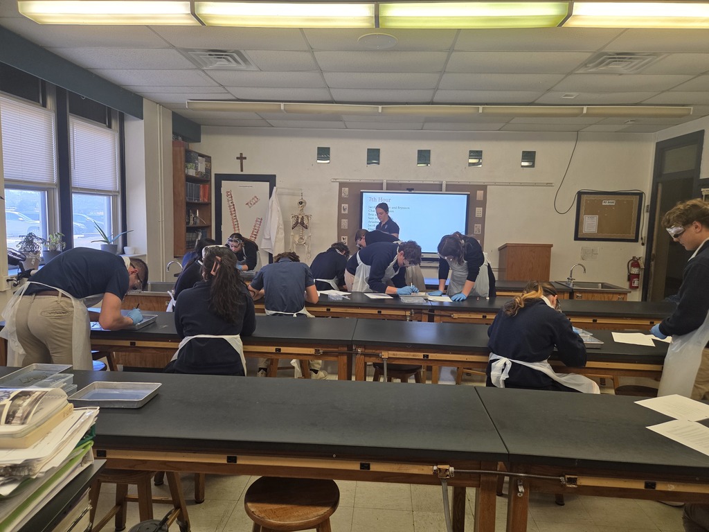 Biology Dissection