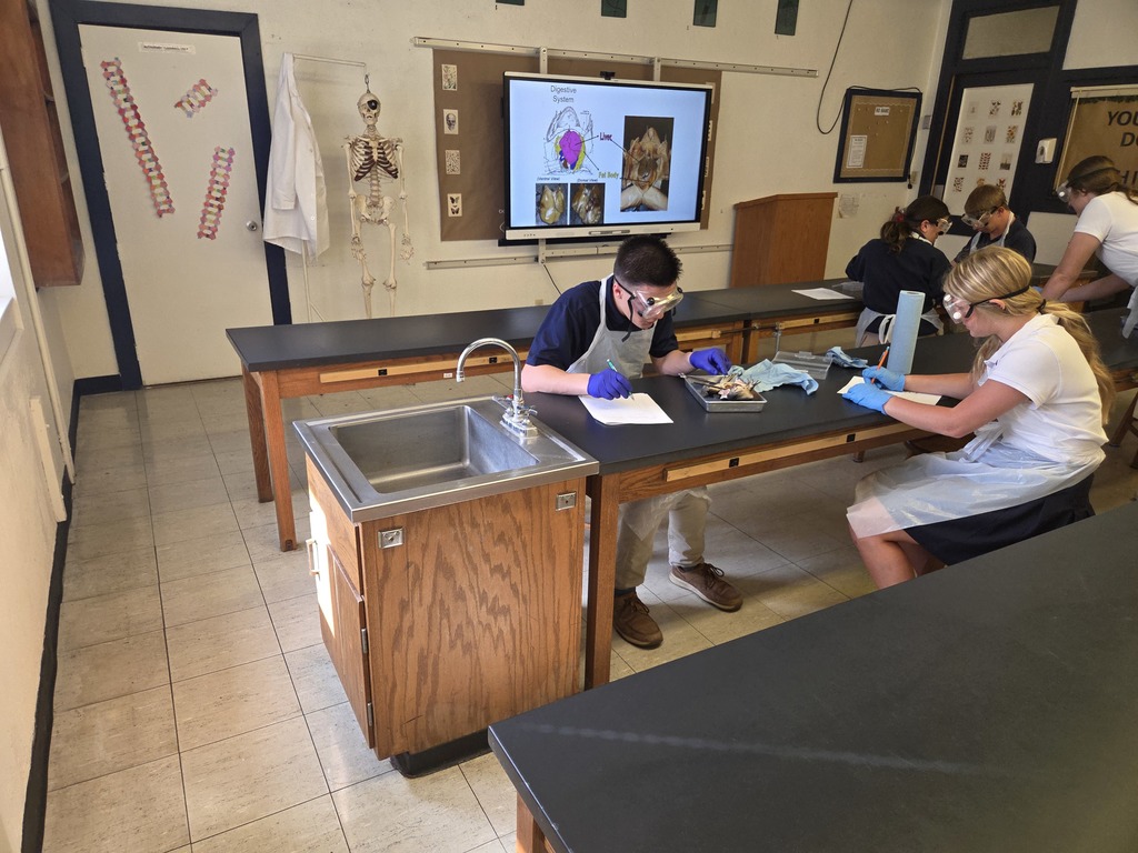 Biology Dissection