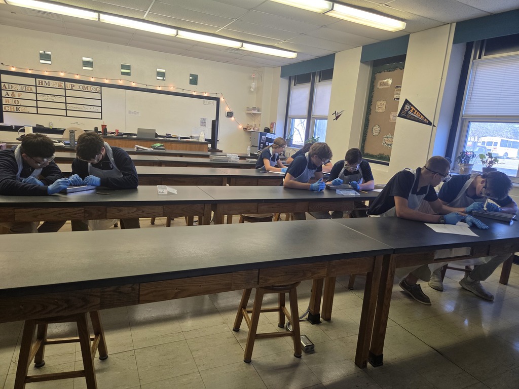 Biology Dissection