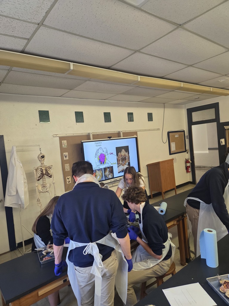 Biology Dissection