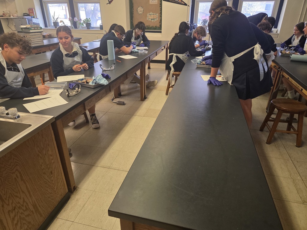 Biology Dissection