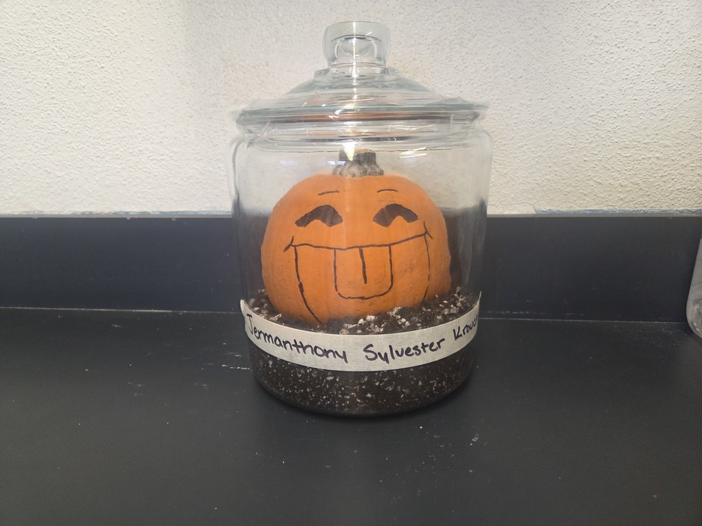 Pumpkin in Jar