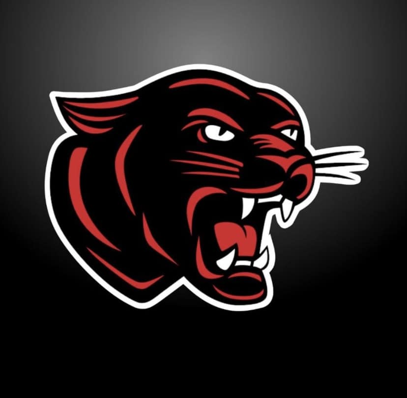 Panther Head