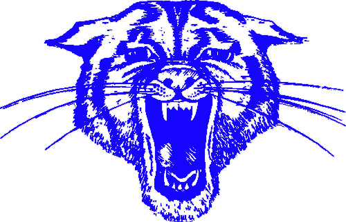wildcat