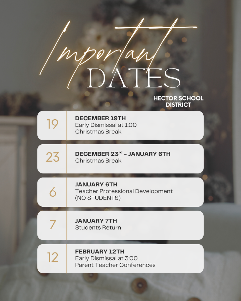 Grey Beige Gold Modern Elegant Christmas Event Program Instagram Post