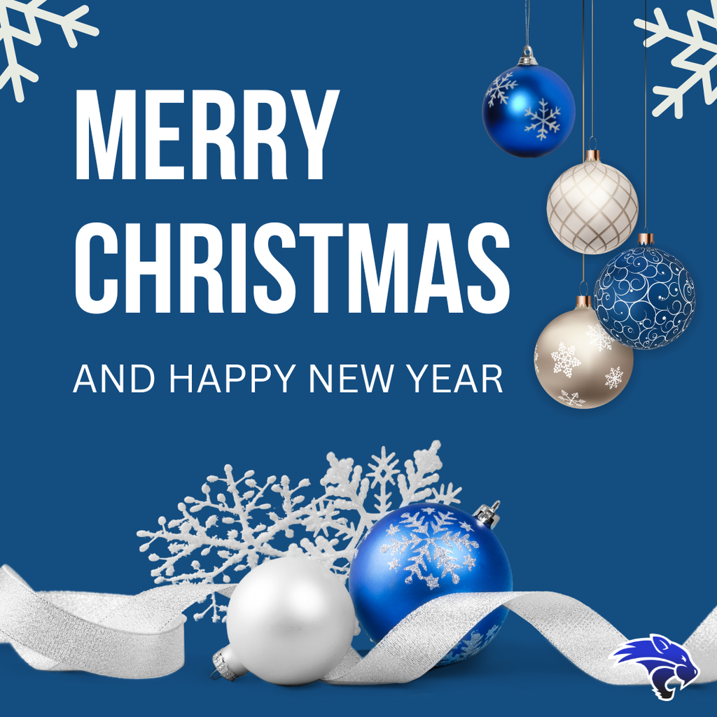 Blue and White Modern Merry Christmas Facebook Post