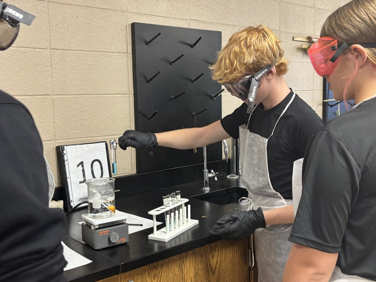 bio