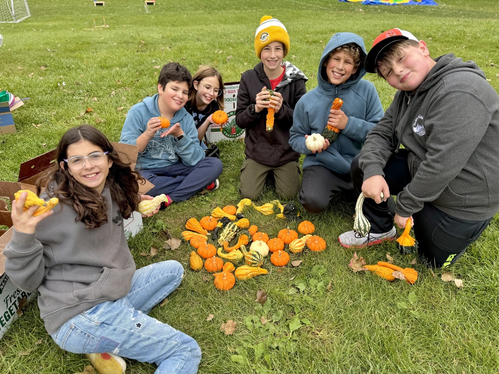 Heilicher middle school students volunteer to sort gourds