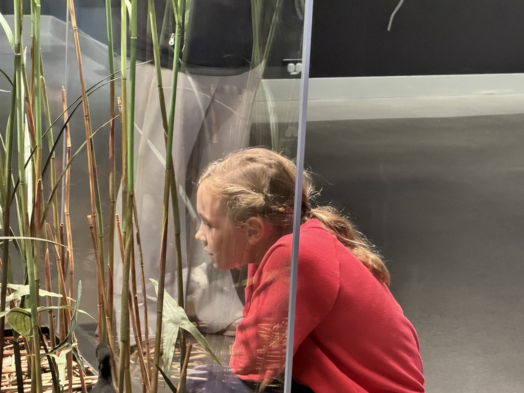 girl looks into case with plants