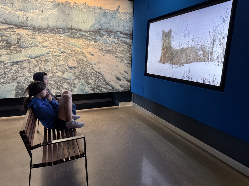 students watch video about wolves