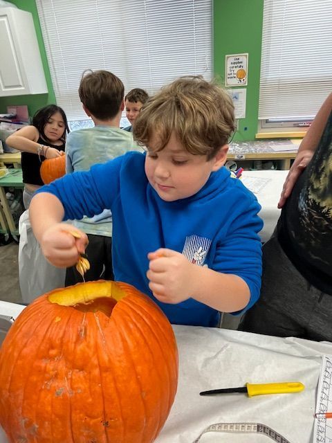 student cuts into pumpkin