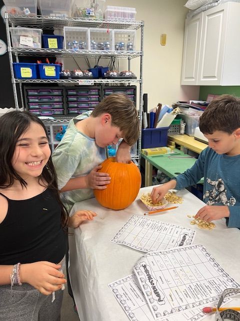 students count pumpkin seeds