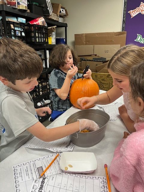students count pumpkin seeds