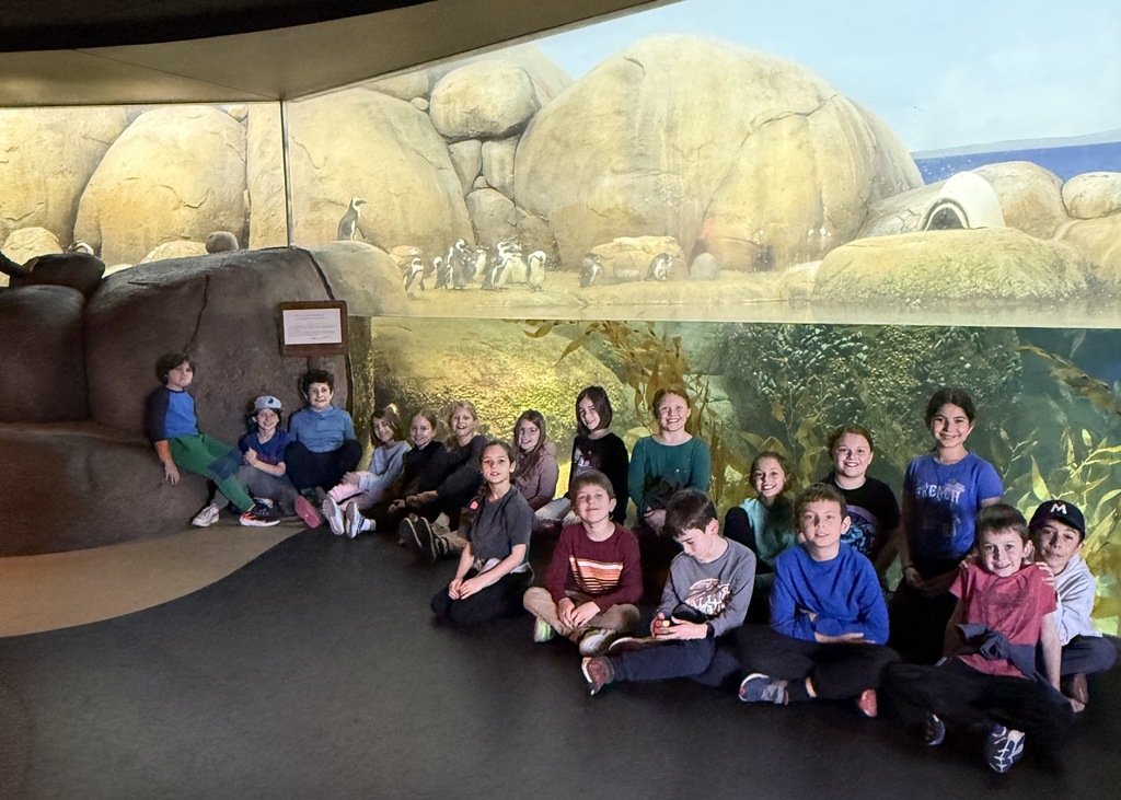 students pose in front of penguin enclosure