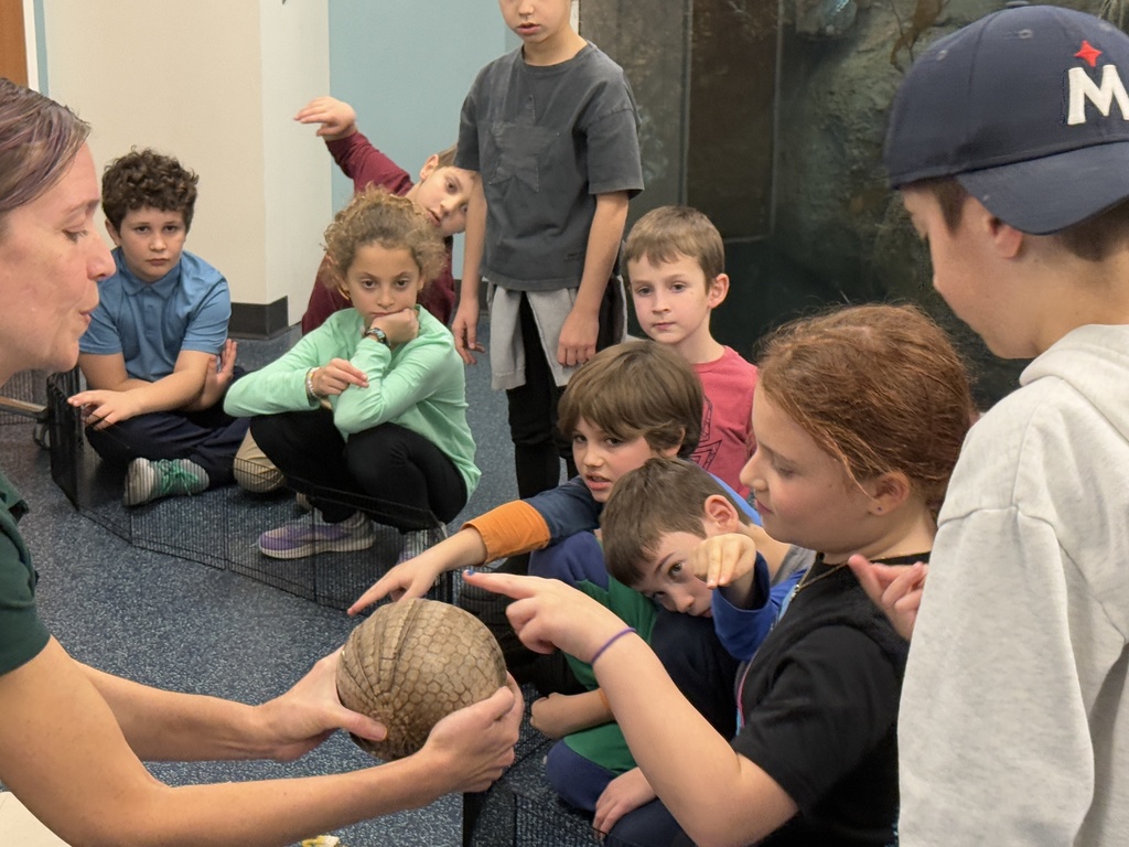 student pets armadillo
