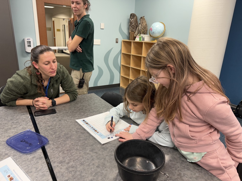 students complete worksheet about enrichments