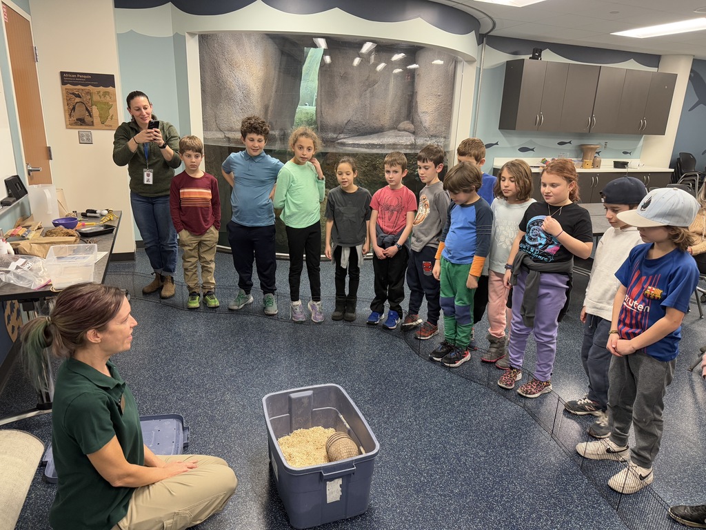 zoo worker introduces students to armadillo