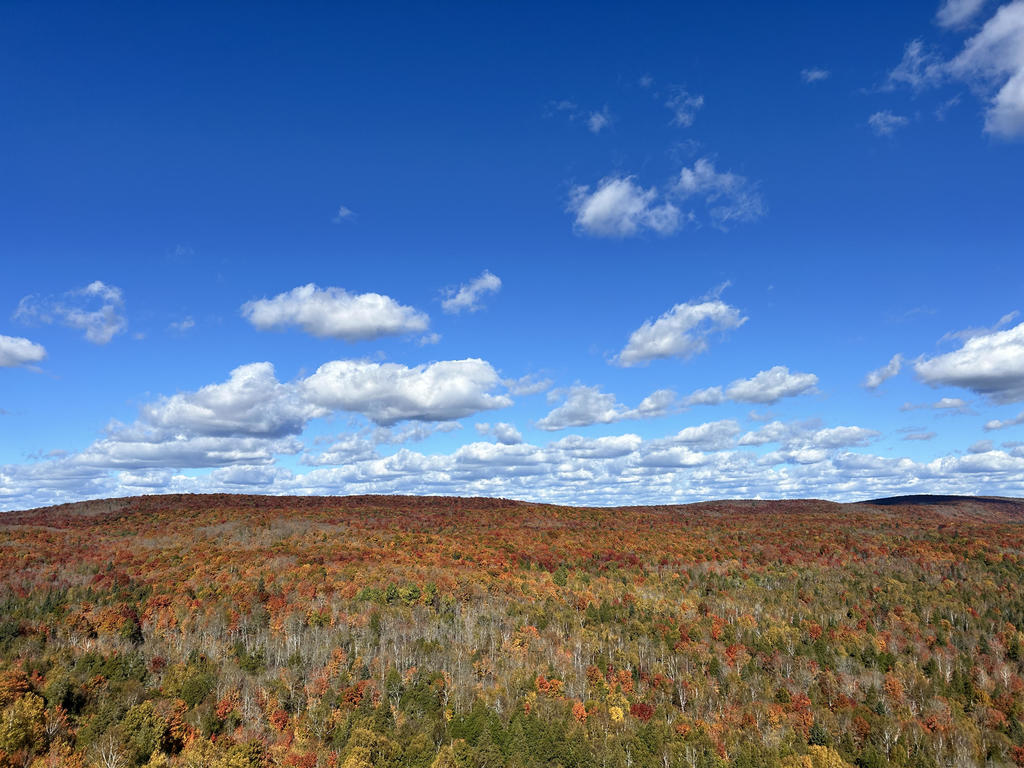 Up There by Lila M. Gold Key Award