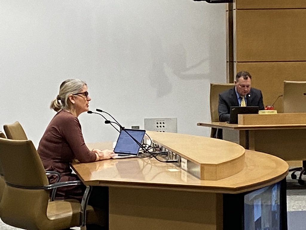 Ms. Smith testifies at Senate