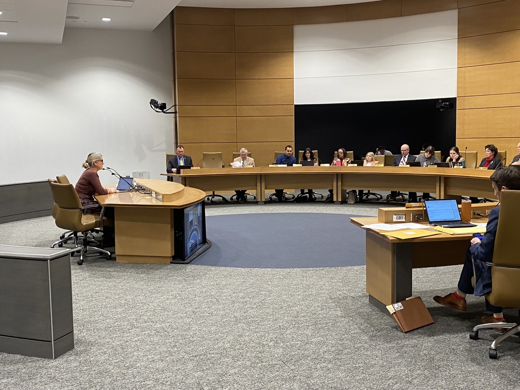 Ms. Smith testifies at Senate