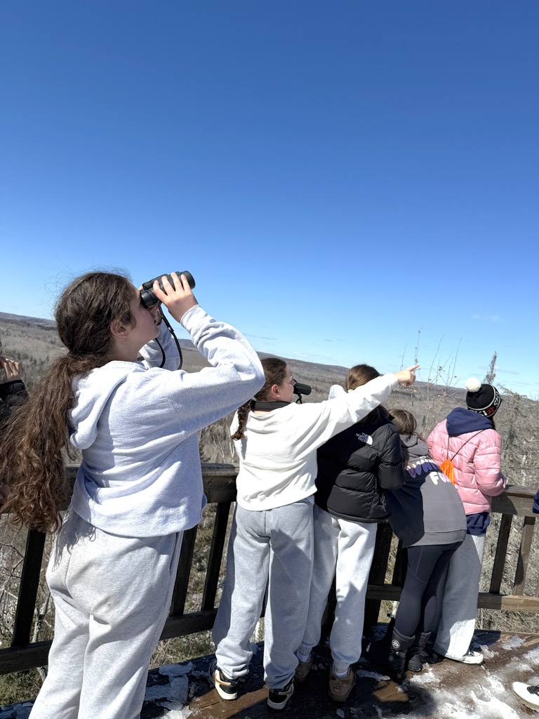 students look through binoculars, one points