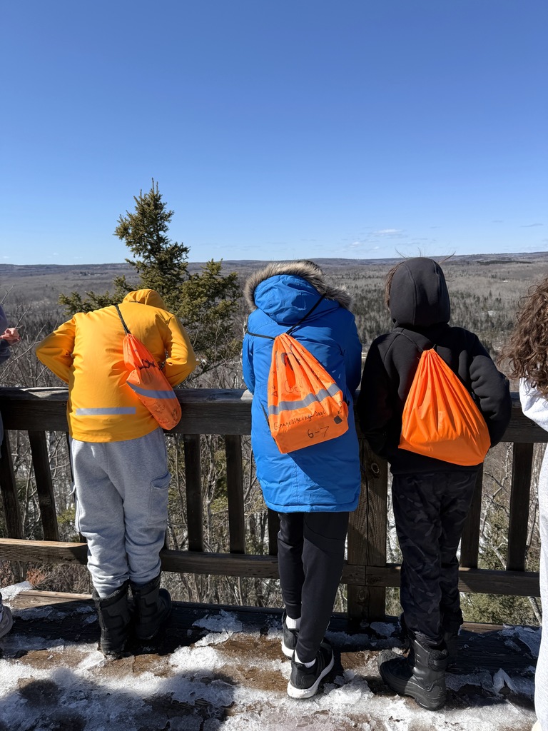 students look out over overlook